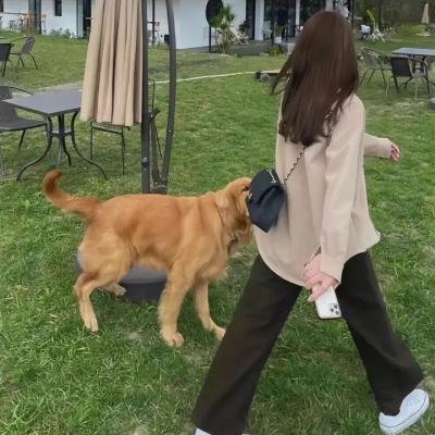 终极制裁者